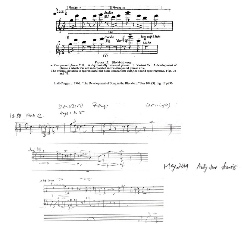 5_Music notation_Hall-Craggs’s_Blackbird song_Wishart’s_Blackbird song.jpg