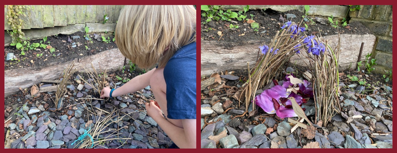 Two photos - on the left is a child crouching down poking small twigs in between grey stones on the soil, on the right are lots of twigs poling up from the soil in an avenue style, with pink tulip petals in the middle and bluebell flowers on the top of the sticks, there are two small wood birds.
