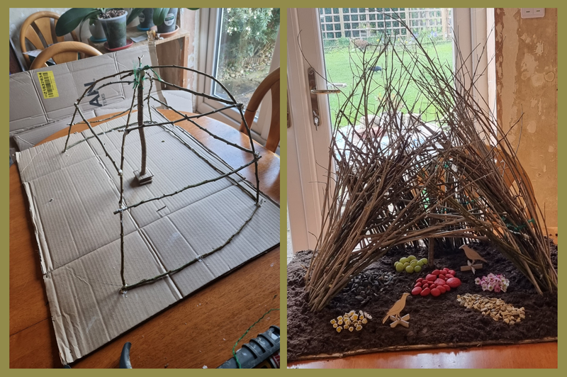 Two photos - on the left is a structure made from twigs - there is a central pole and curved twigs that join at the top of the central pole, a bit like a pop-up tent. On the right is the same structure with lots more twigs over it, forming a canopy, underneath is mud and piles of fruit and flowers, and two wood birds.
