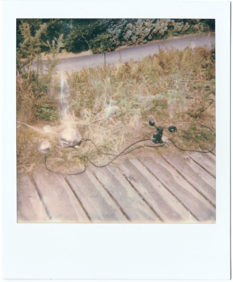 organisms-Eden_polaroids-2018-22.jpg