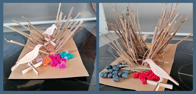 Two photos - on the left is a piece of card with a length of plasticine on it, and twigs stuck in at angles forming a V shaped channel, there are piles of bright coloured beads and two wood birds - on the right is the same structure filled out with more twigs in V shape and horizontally at the base of the V.