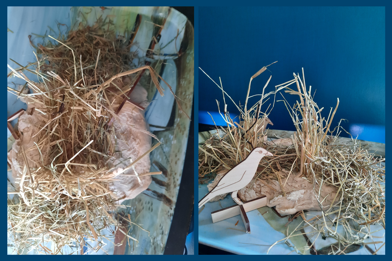 Two photos - on the left is some hay stuck into a flattened piece of bread dough - there is a dip in the middle of the hay as if a cat had been sitting there, on the right the photo shows hay sticking up from the dough, with a wood bird in front.